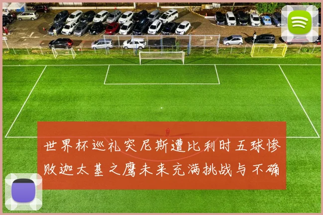 世界杯巡礼突尼斯遭比利时五球惨败迦太基之鹰未来充满挑战与不确定性