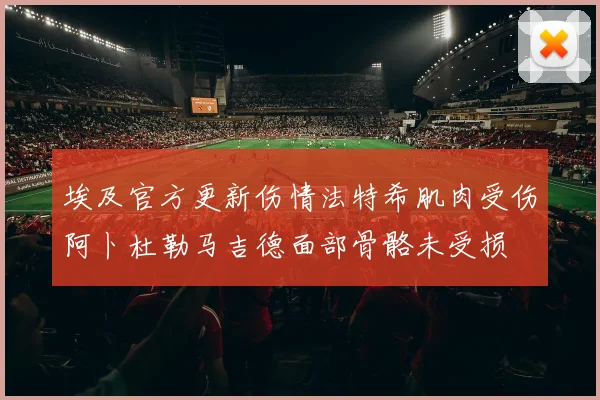 埃及官方更新伤情法特希肌肉受伤阿卜杜勒马吉德面部骨骼未受损